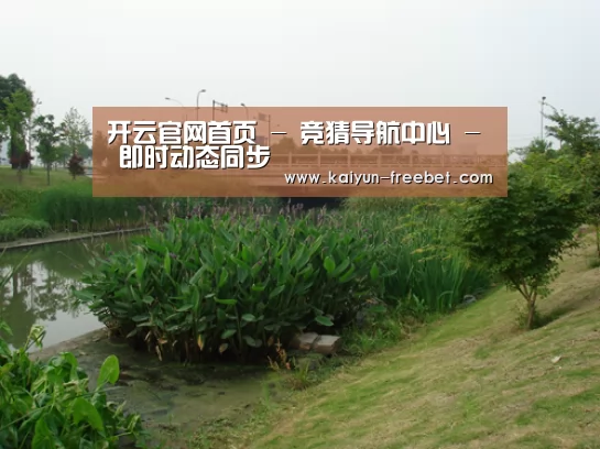 案例展示四(图1)