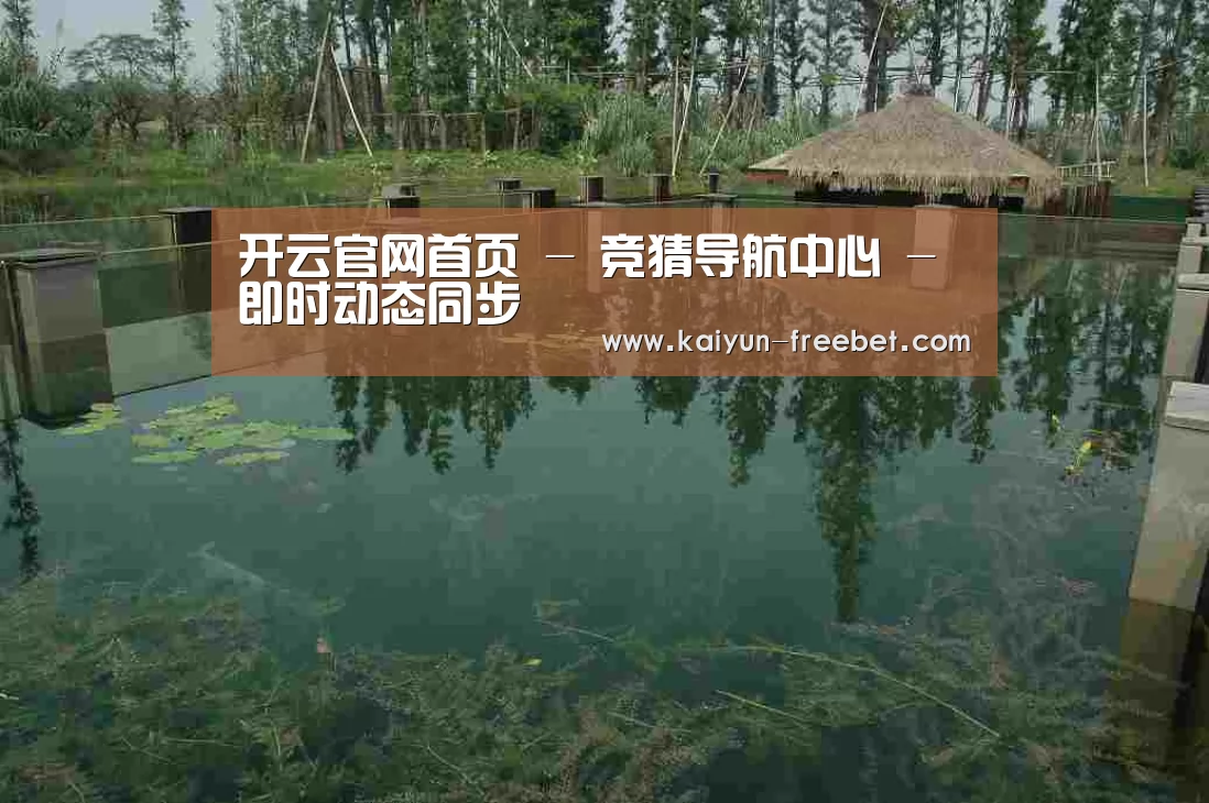 案例展示二(图1)