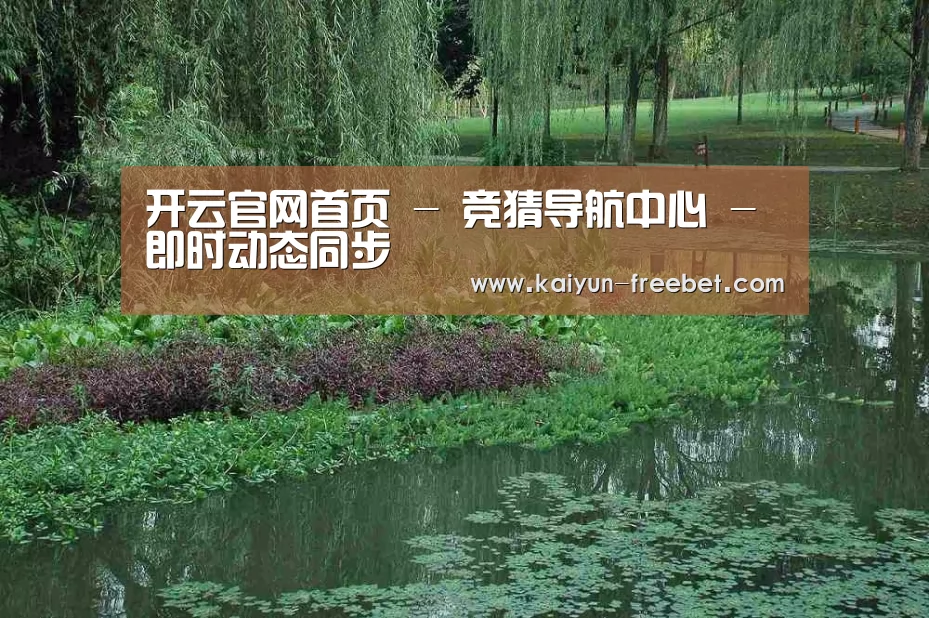 案例展示一
