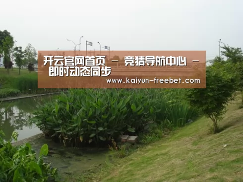 案例展示四