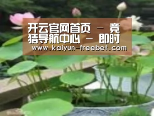 产品名称一