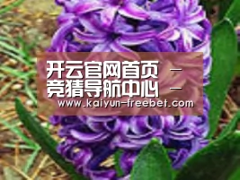 产品名称八