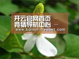 产品名称三