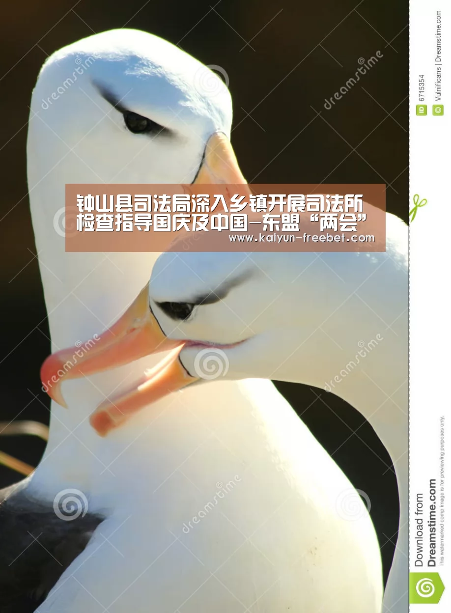 钟山县司法局深入乡镇开展司法所检查指导国庆及中国-东盟“两会”期间维护安全稳定工作:开云赛程(图2) 开云热点