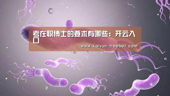 开云赛事