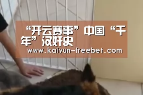 “开云赛事”中国“千年”汉奸史(图4) 开云入口