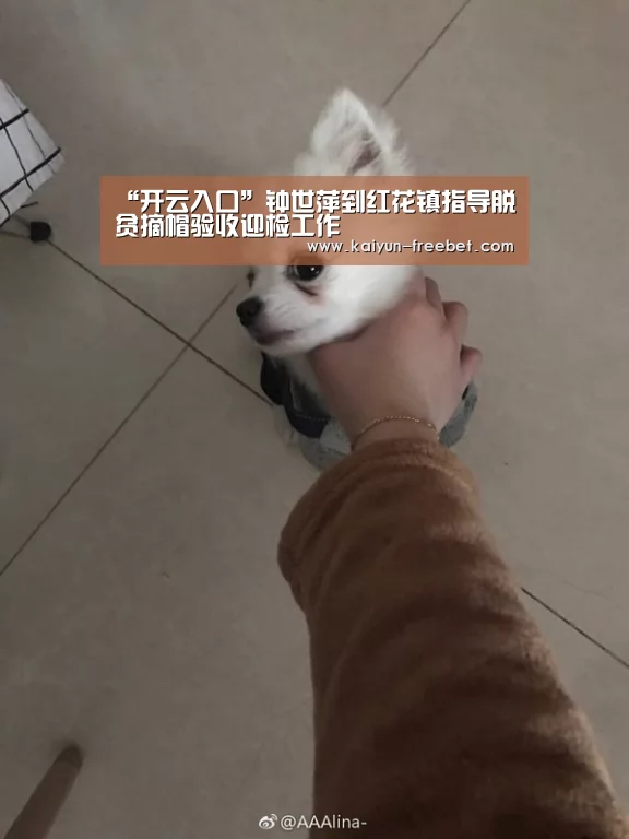 “开云入口”钟世萍到红花镇指导脱贫摘帽验收迎检工作(图3) 开云热点
